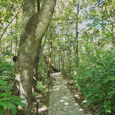 Pousada Eden - Conforto, Imersao E Natureza Sao Jorge  Luaran gambar