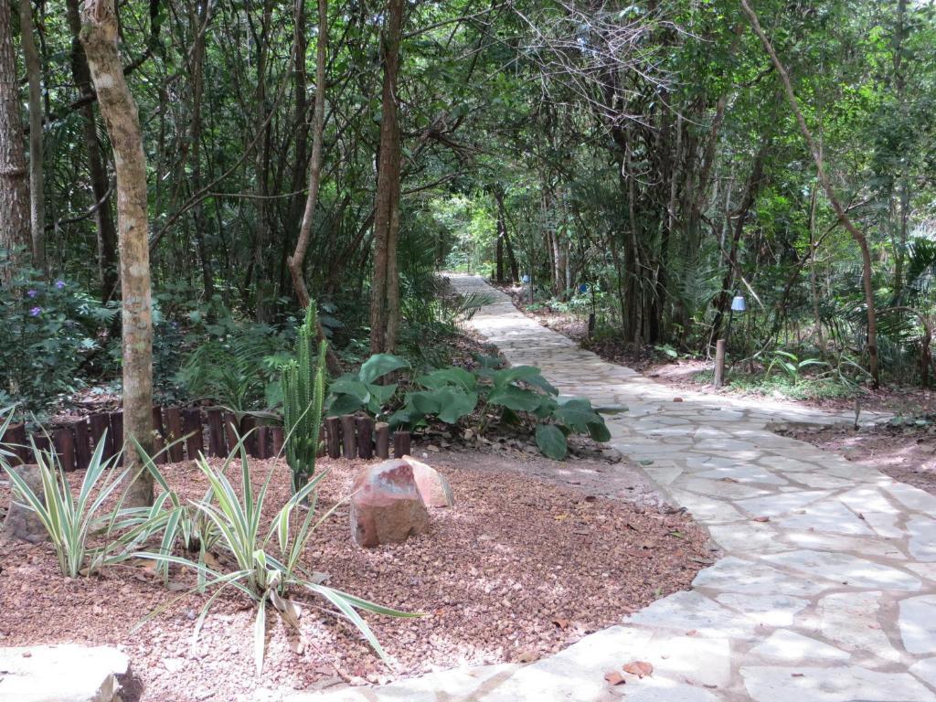 Pousada Eden - Conforto, Imersao E Natureza Sao Jorge  Luaran gambar