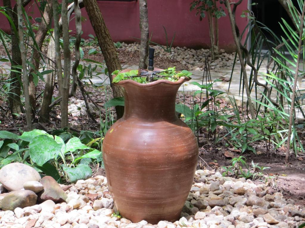 Pousada Eden - Conforto, Imersao E Natureza Sao Jorge  Luaran gambar
